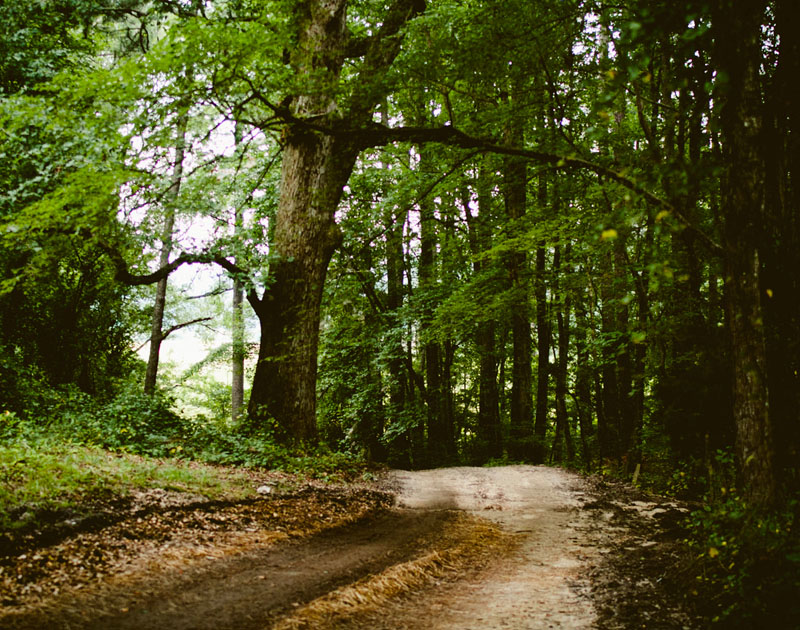 一键购买即发的免费ddos防火墙